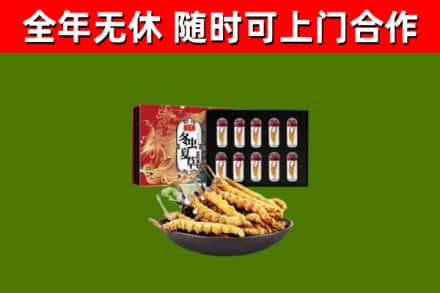 屯昌回收冬虫夏草价格